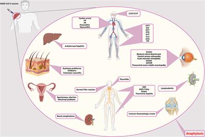 Do we miss rare adverse events induced by COVID-19 vaccination?